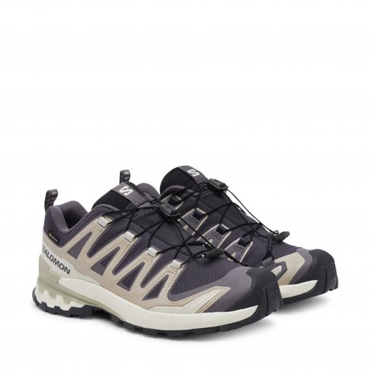 XA Pro 3D V9 GORE-TEX Nine Iron/Oxford Tan/Alfalfa