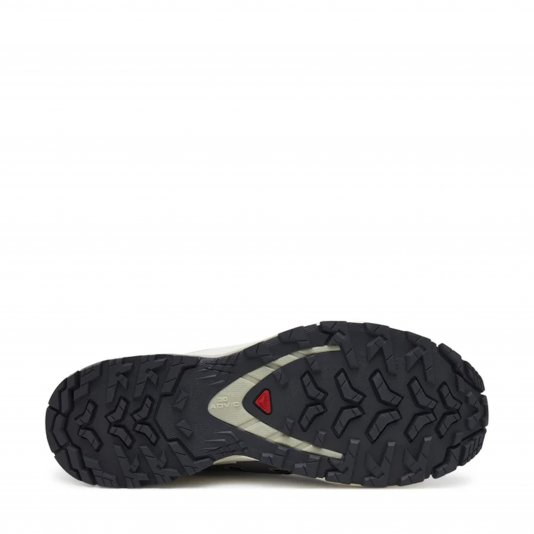 XA Pro 3D V9 GORE-TEX Nine Iron/Oxford Tan/Alfalfa