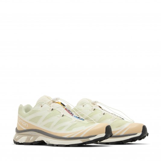 XT-6 Aloe Wash/Hazelnut/Feather Gray