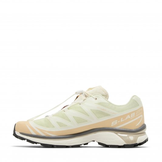 XT-6 Aloe Wash/Hazelnut/Feather Gray