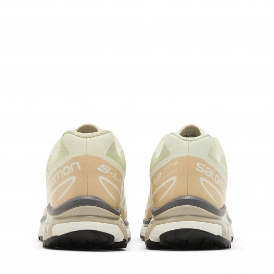 XT-6 Aloe Wash/Hazelnut/Feather Gray