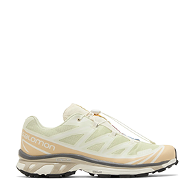 XT-6 Aloe Wash/Hazelnut/Feather Gray
