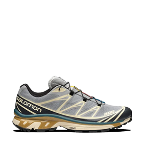 XT-6 Dover/Silver/Beige