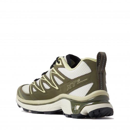 XT-6 Expanse Almond Milk/Olive Night/Dusty Yellow