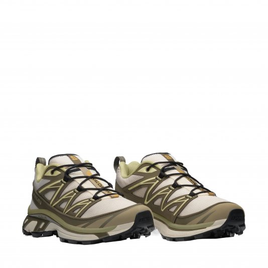 XT-6 Expanse Almond Milk/Olive Night/Dusty Yellow