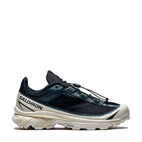 XT-6 FT Dark Sapphire/Vanilla Ice/Stormy Weather