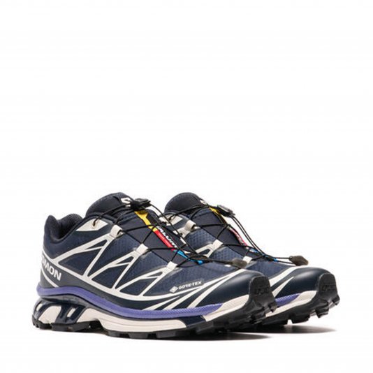 XT-6 GORE-TEX Carbon/Vanila/Libert
