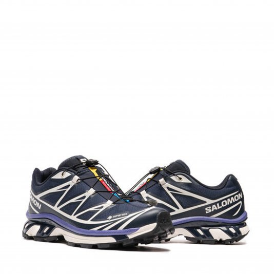 XT-6 GORE-TEX Carbon/Vanila/Libert