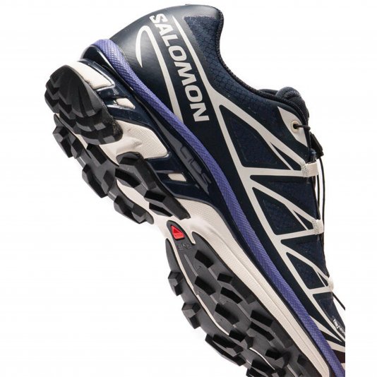 XT-6 GORE-TEX Carbon/Vanila/Libert