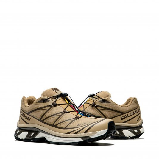 XT-6 GORE-TEX Kelp/Wren/Safari