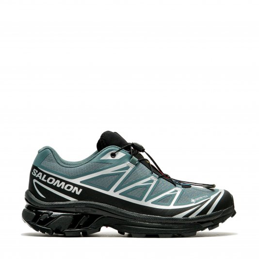 XT-6 GORE-TEX Noat/Black/Footwear Silver