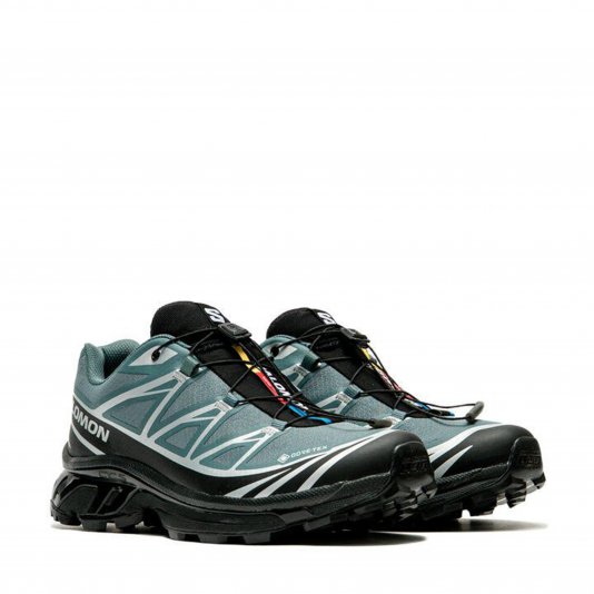 XT-6 GORE-TEX Noat/Black/Footwear Silver