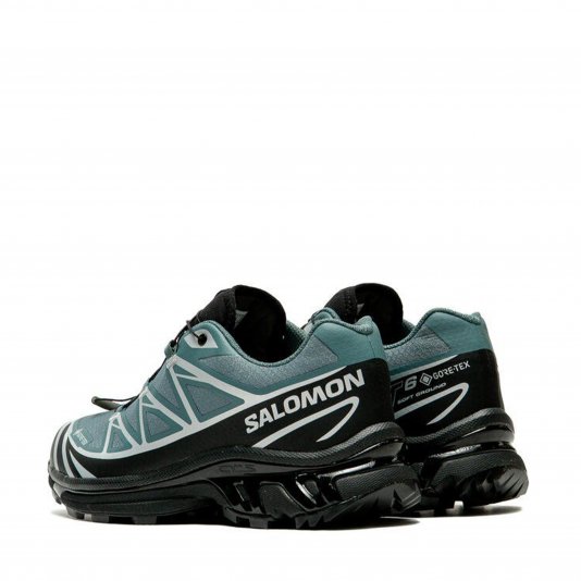XT-6 GORE-TEX Noat/Black/Footwear Silver
