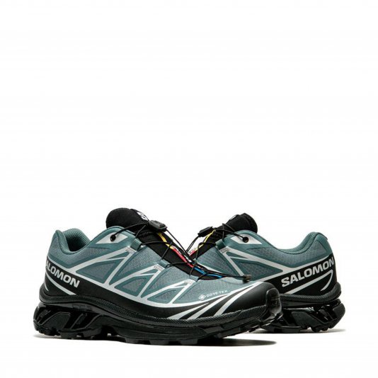 XT-6 GORE-TEX Noat/Black/Footwear Silver