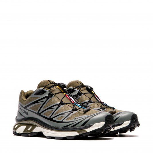 XT-6 GORE-TEX Olive Night/Sedona Sage/Black