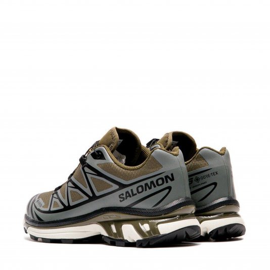 XT-6 GORE-TEX Olive Night/Sedona Sage/Black