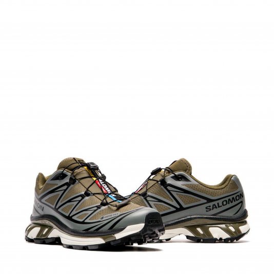XT-6 GORE-TEX Olive Night/Sedona Sage/Black