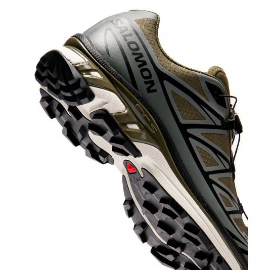 XT-6 GORE-TEX Olive Night/Sedona Sage/Black