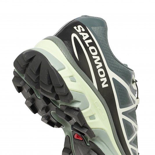 XT-6 GORE-TEX Urban Chic/Black/Lime Cream
