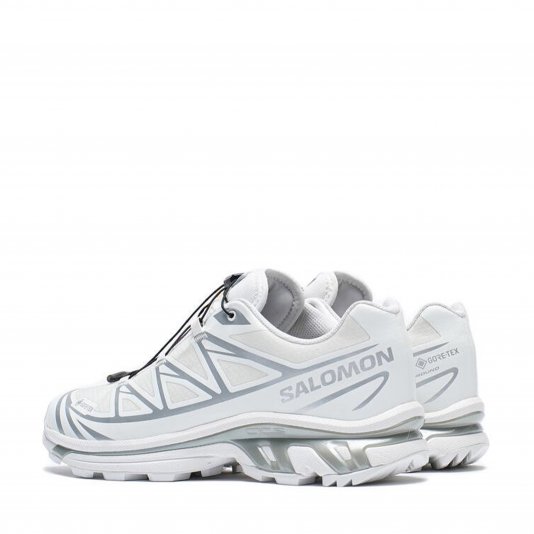 XT-6 GORE-TEX White/Footwear Silver