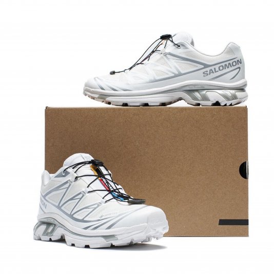 XT-6 GORE-TEX White/Footwear Silver