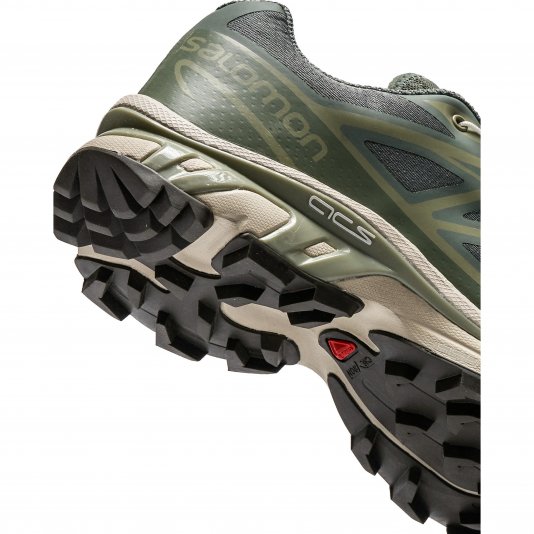 XT-6 Laurel Wreath/Lily Pad/Desert Sage