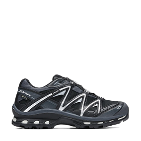 XT-Quest GTX Black/Ebony/Metallic Silver