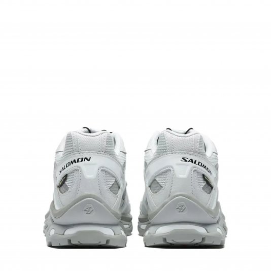 XT-Quest GTX Ghost Gray/Lunar Rock/White