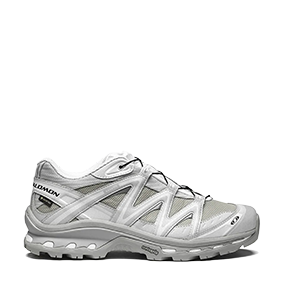 XT-Quest GTX Ghost Gray/Lunar Rock/White