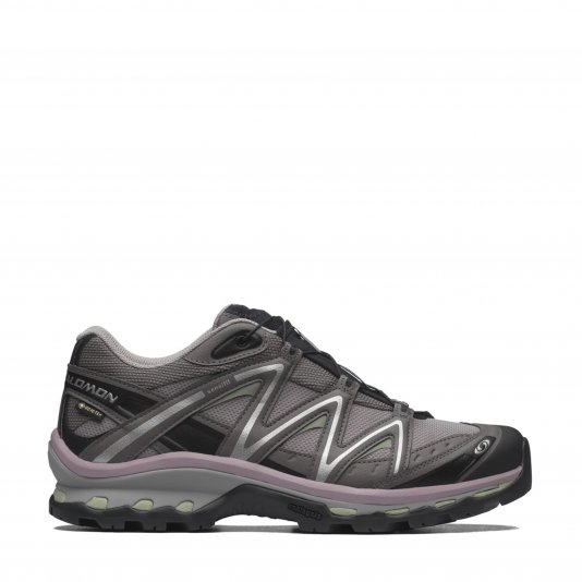 XT-Quest GTX Gull Grey/Plum Kitten/Black