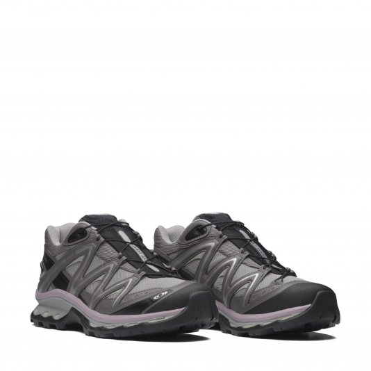 XT-Quest GTX Gull Grey/Plum Kitten/Black