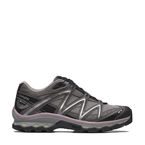 XT-Quest GTX Gull Grey/Plum Kitten/Black
