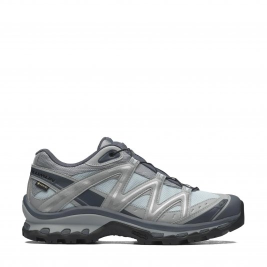 XT-Quest GTX Metal/Lunar Rock/Ghost Gray