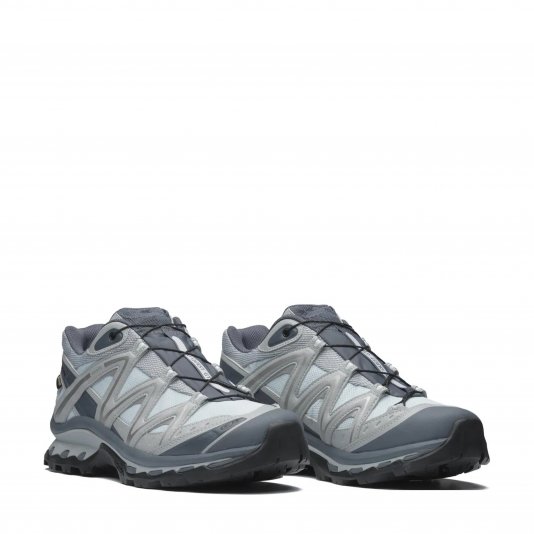 XT-Quest GTX Metal/Lunar Rock/Ghost Gray