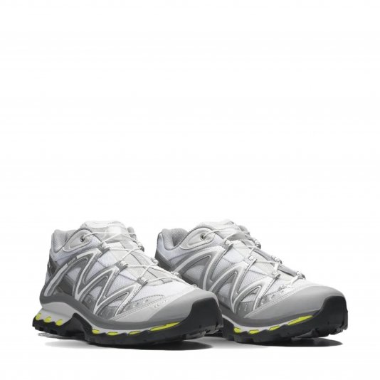 XT-Quest Lunar Rock/Ftw Silver