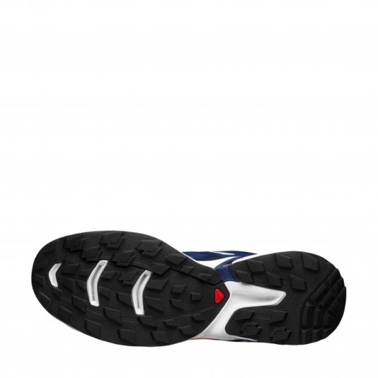XT-Wings 2 Lunar Rock/Blue Print/Poppy Red