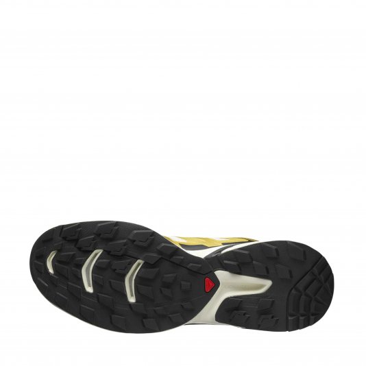 XT-Wings 2 Vanilla Ice/Gold/Black
