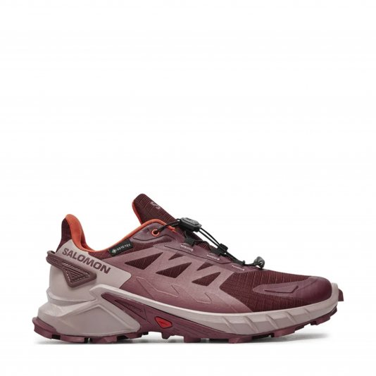 Speedcross 4 GTX Tawny Port/Deauville Mauve/Cherry Tomato