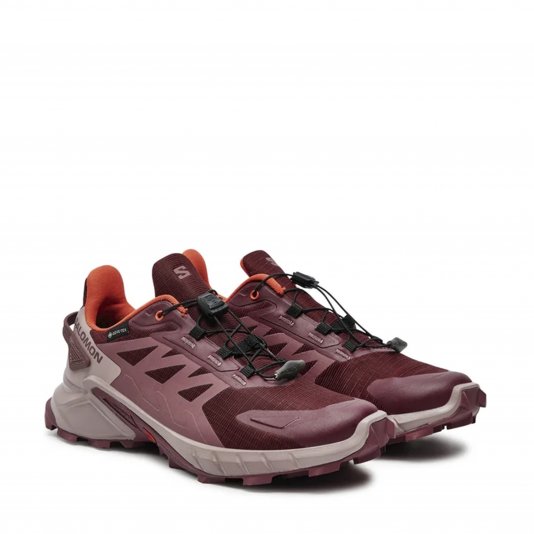 Speedcross 4 GTX Tawny Port/Deauville Mauve/Cherry Tomato