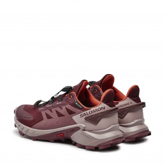 Speedcross 4 GTX Tawny Port/Deauville Mauve/Cherry Tomato