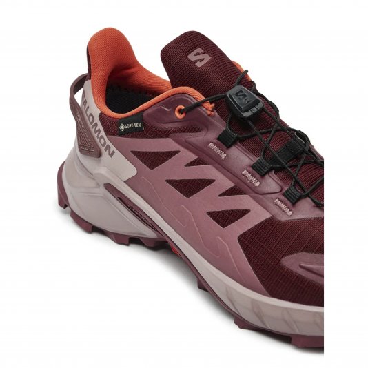Speedcross 4 GTX Tawny Port/Deauville Mauve/Cherry Tomato