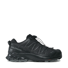 XA Pro 3D V9 GORE-TEX Black/Pewter/Phantom