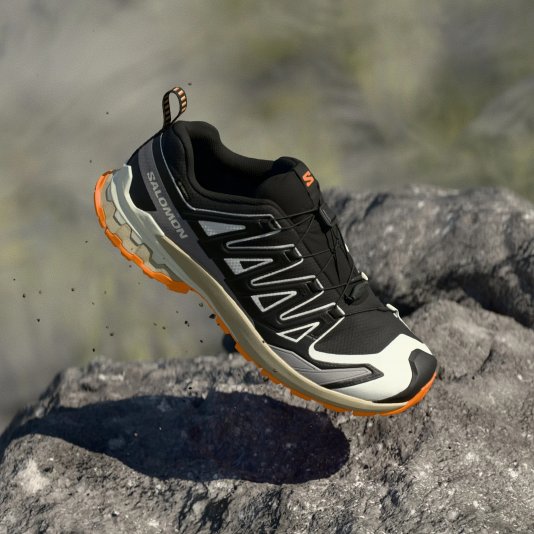 XA Pro 3D V9 GORE-TEX Black/Vanilla Ice/Turmeric