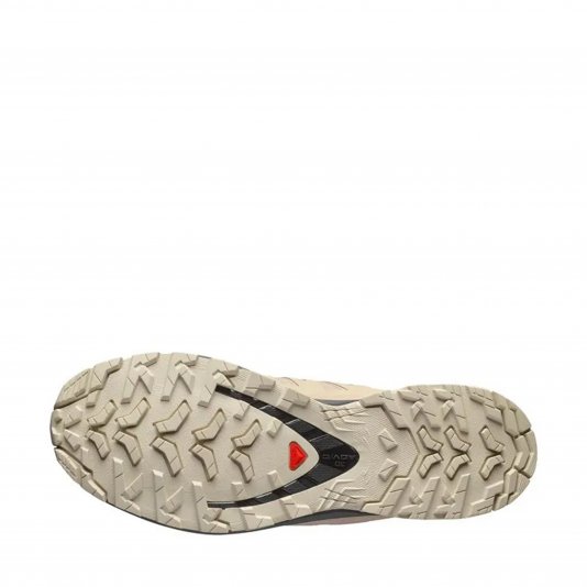 XA Pro 3D V9 GORE-TEX Tan/Castlerock/Black