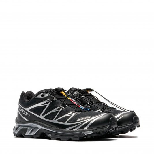 XT-6 GORE-TEX Black/Footwear Silver