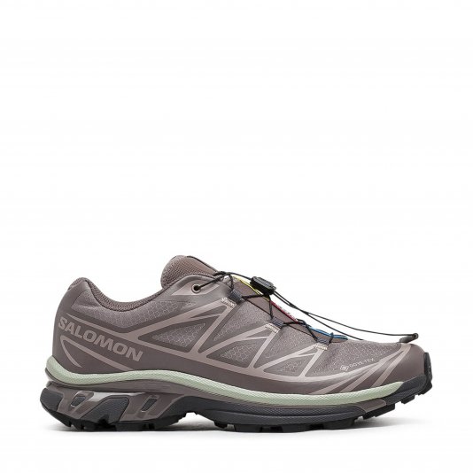 XT-6 GORE-TEX Iron Etherea/Seagrass