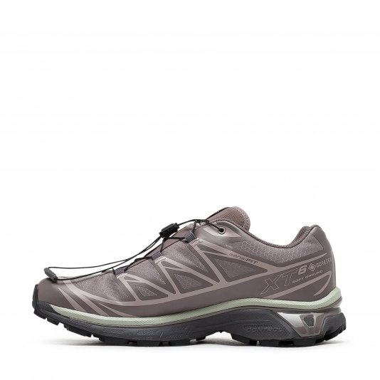 XT-6 GORE-TEX Iron Etherea/Seagrass