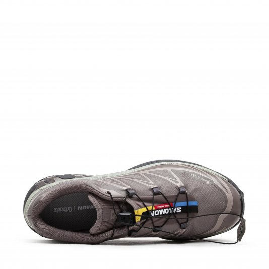 XT-6 GORE-TEX Iron Etherea/Seagrass