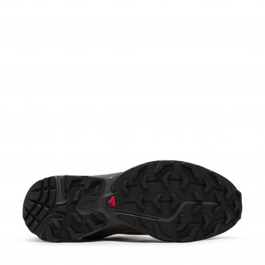 XT-6 GORE-TEX Iron Etherea/Seagrass