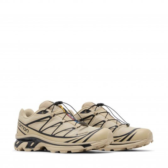 XT-6 GORE-TEX Safari/Black